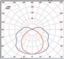  ������ ���� �����